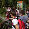 kirnduls gyrben 2012.05.27. 038